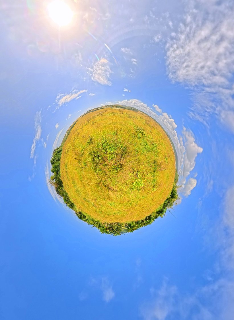 Planet — grass field tiny world